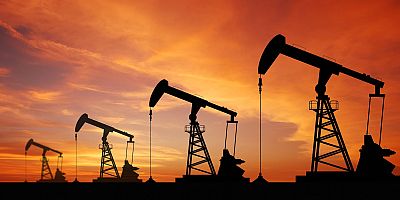TPAO’ya 7 bin hektar petrol işletme ruhsatı
