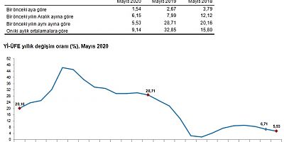 TÜİK-Yurt içi üretici fiyatları Mayıs'ta arttı