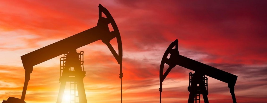 TPAO’dan ‘petrol arama’ kararı