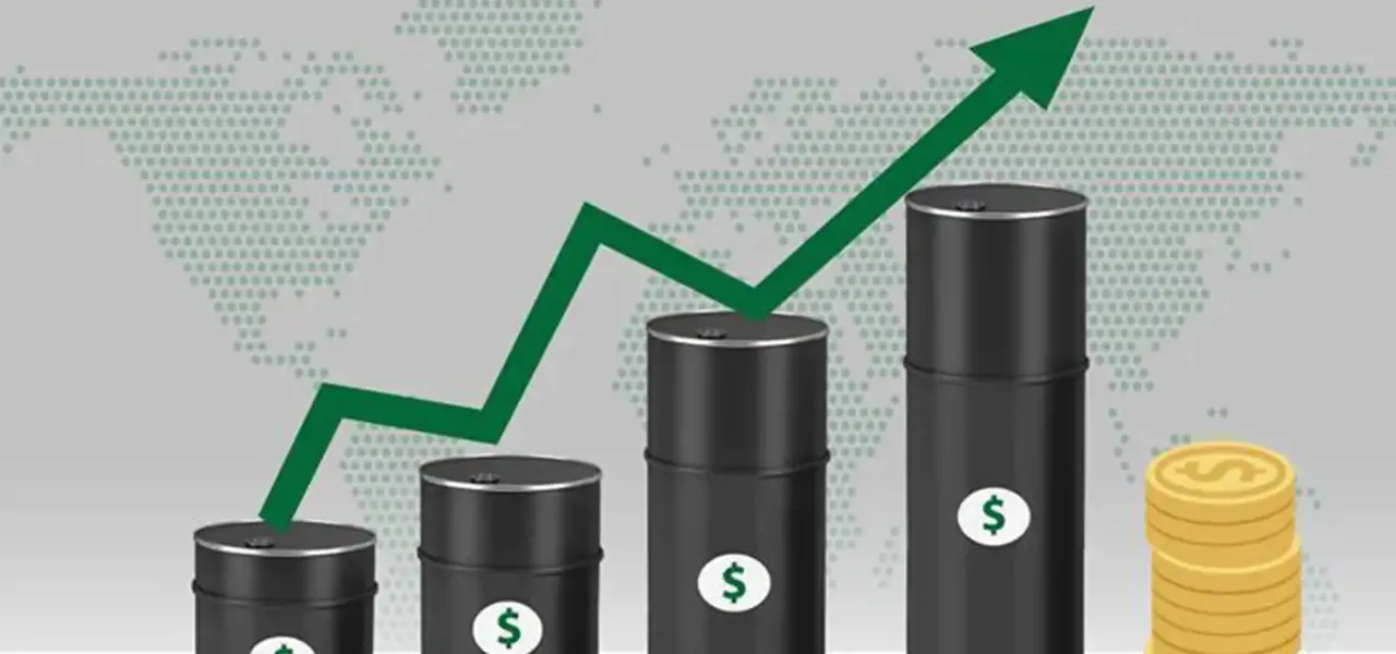 file_69bc3b862491b5.11598627