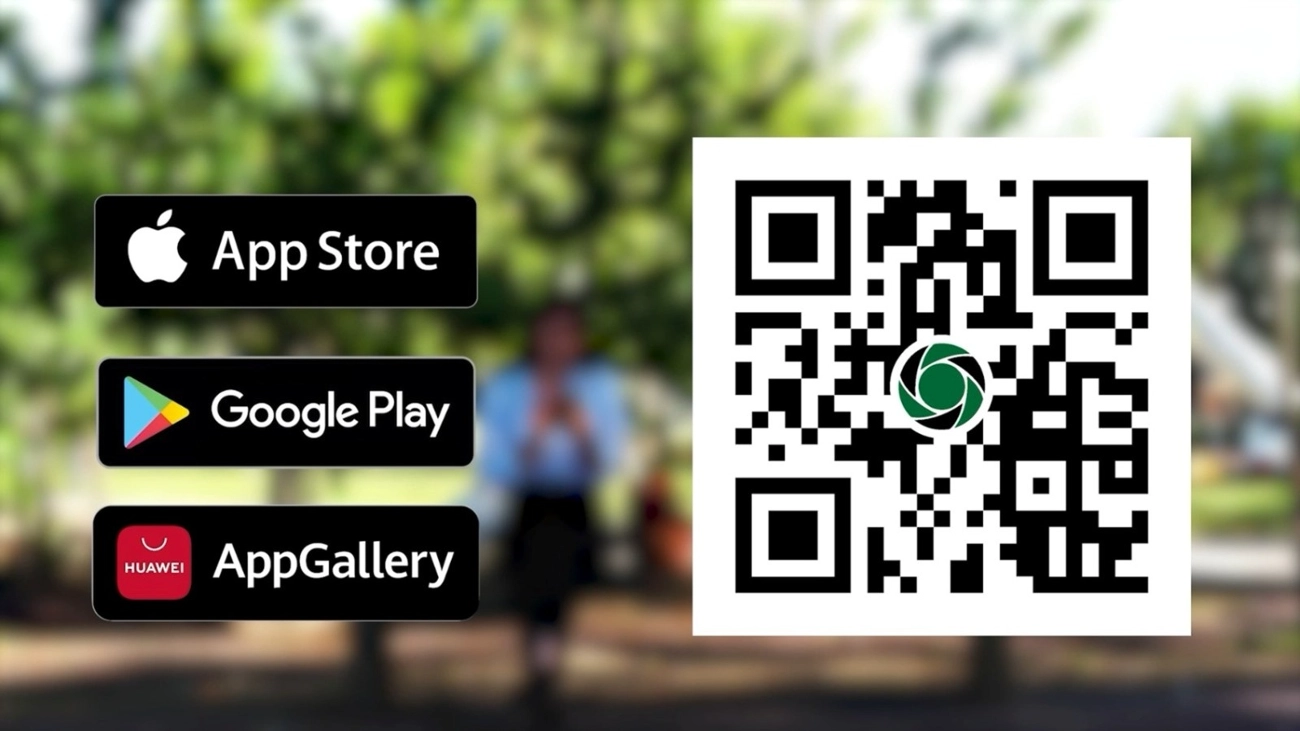 web_1785823278420 web_1785823278420