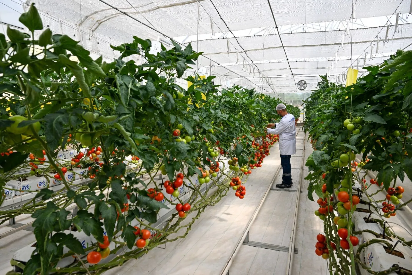 gaziantepte-copten-enerji-alan-serada-rekor-uretim-6