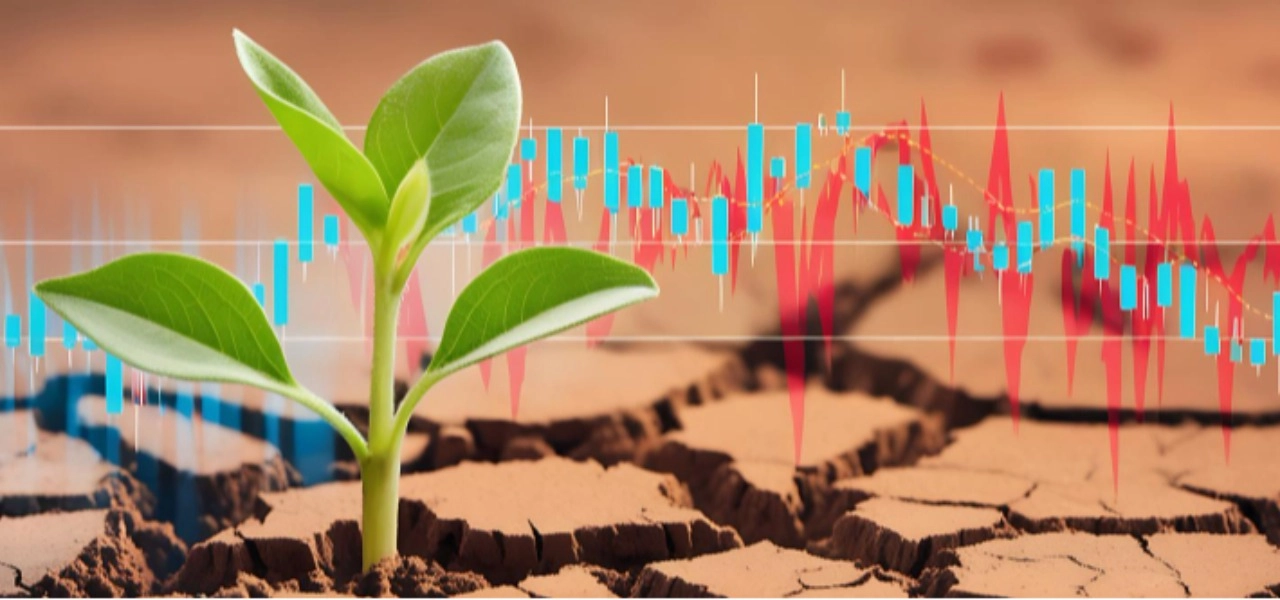 Kuraklık alarmı: Türkiye’de su yönetimi baştan değişiyor