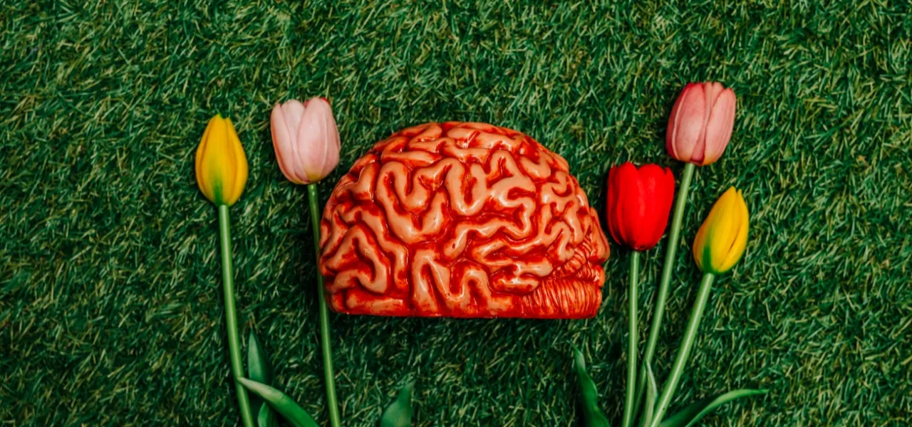 Yapay zekanın iklim etkisi sorguda