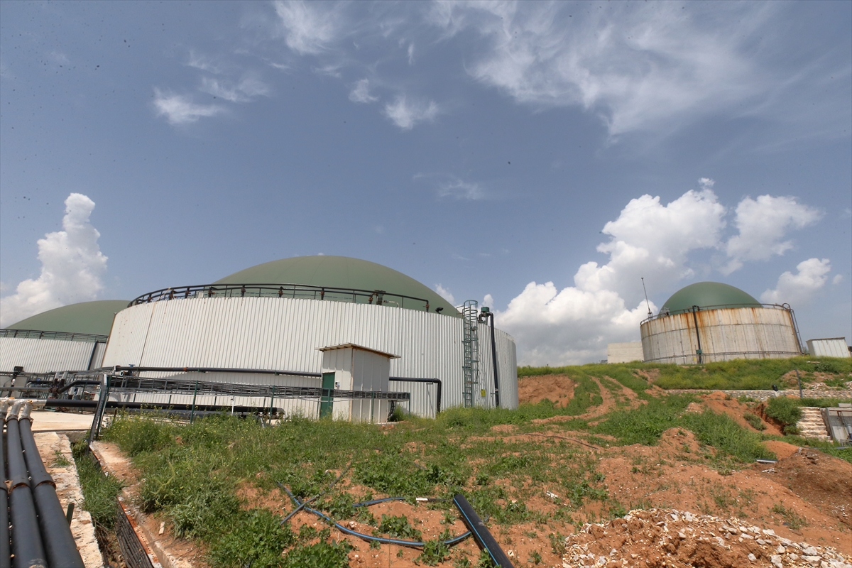 Hayvan gübresinden dev enerji: Çorum’da örnek dönüşüm