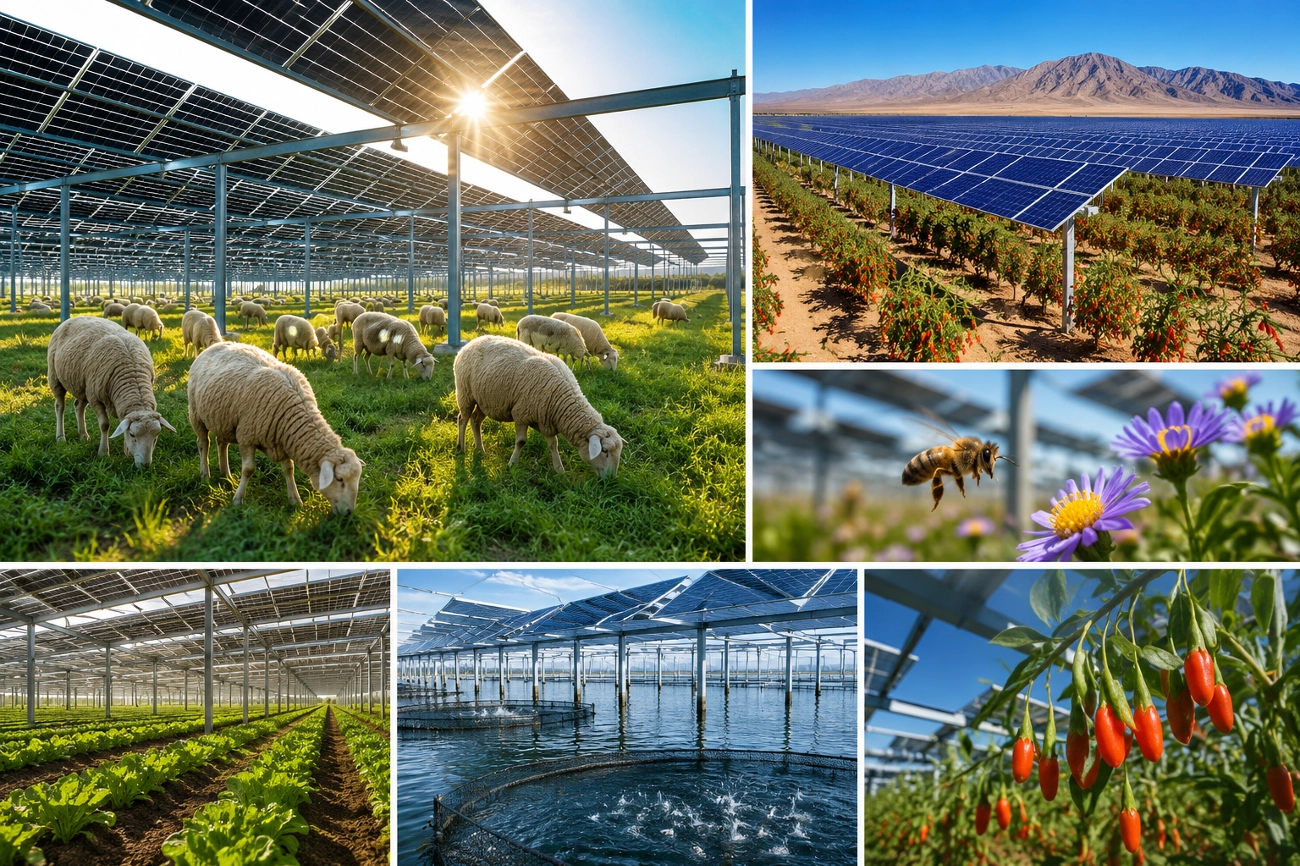 Aynı araziden hem gıda hem enerji çıkıyor