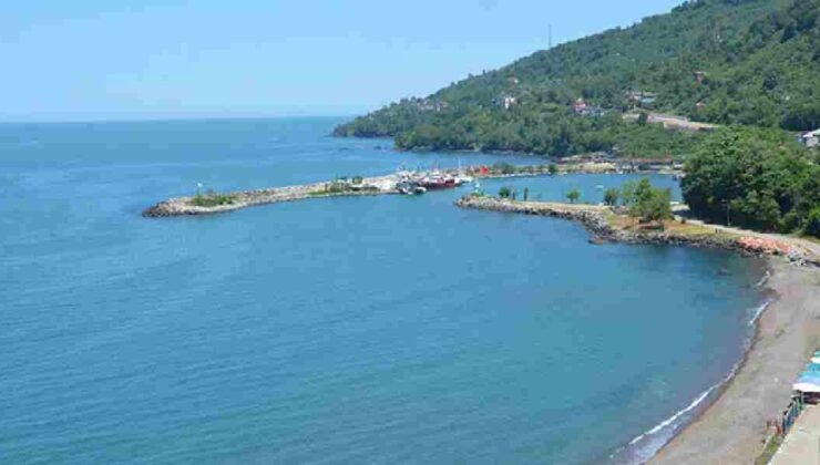 Karadeniz Isınıyor: Biyolojik Çeşitlilik Risk Altında