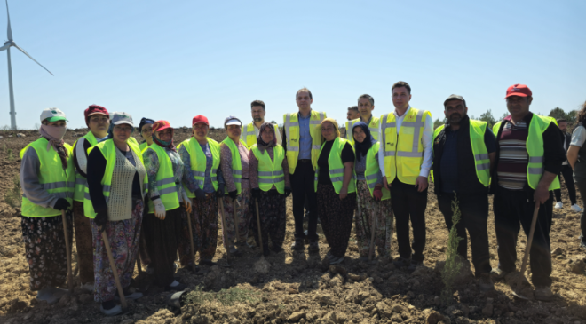 Enerji ormanı projesi Çanakkale’de hayata geçti