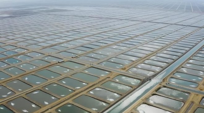 Tarım ve enerjiyi buluşturan ilk su ürünleri OSB